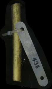 primarybranch