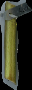 primarybranch