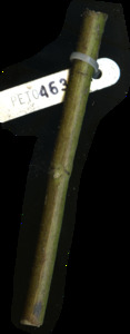 primarybranch