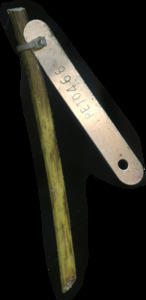 primarybranch