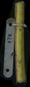 primarybranch