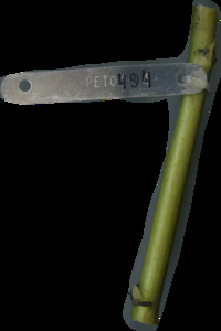 primarybranch