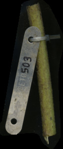 primarybranch