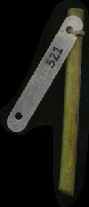 primarybranch