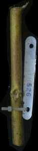 primarybranch
