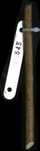 primarybranch