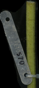 primarybranch