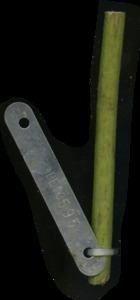 primarybranch