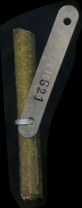 primarybranch