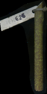 primarybranch