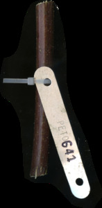 primarybranch