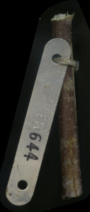 primarybranch