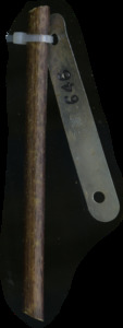 primarybranch