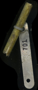 primarybranch