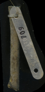 primarybranch