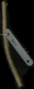primarybranch