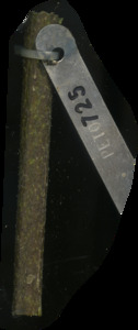 primarybranch