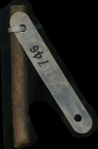 primarybranch