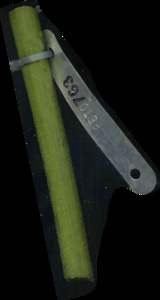 primarybranch