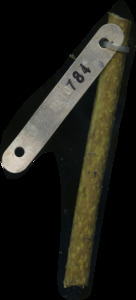 primarybranch
