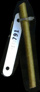 primarybranch